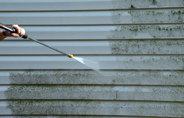 Best Driveway Pressure Washing  in Crow Agency, MT
